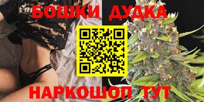 бошки Сланцы