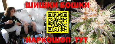 бошки Сланцы