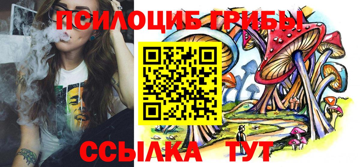 Псилоцибиновые грибы Psilocybe Октябрьский